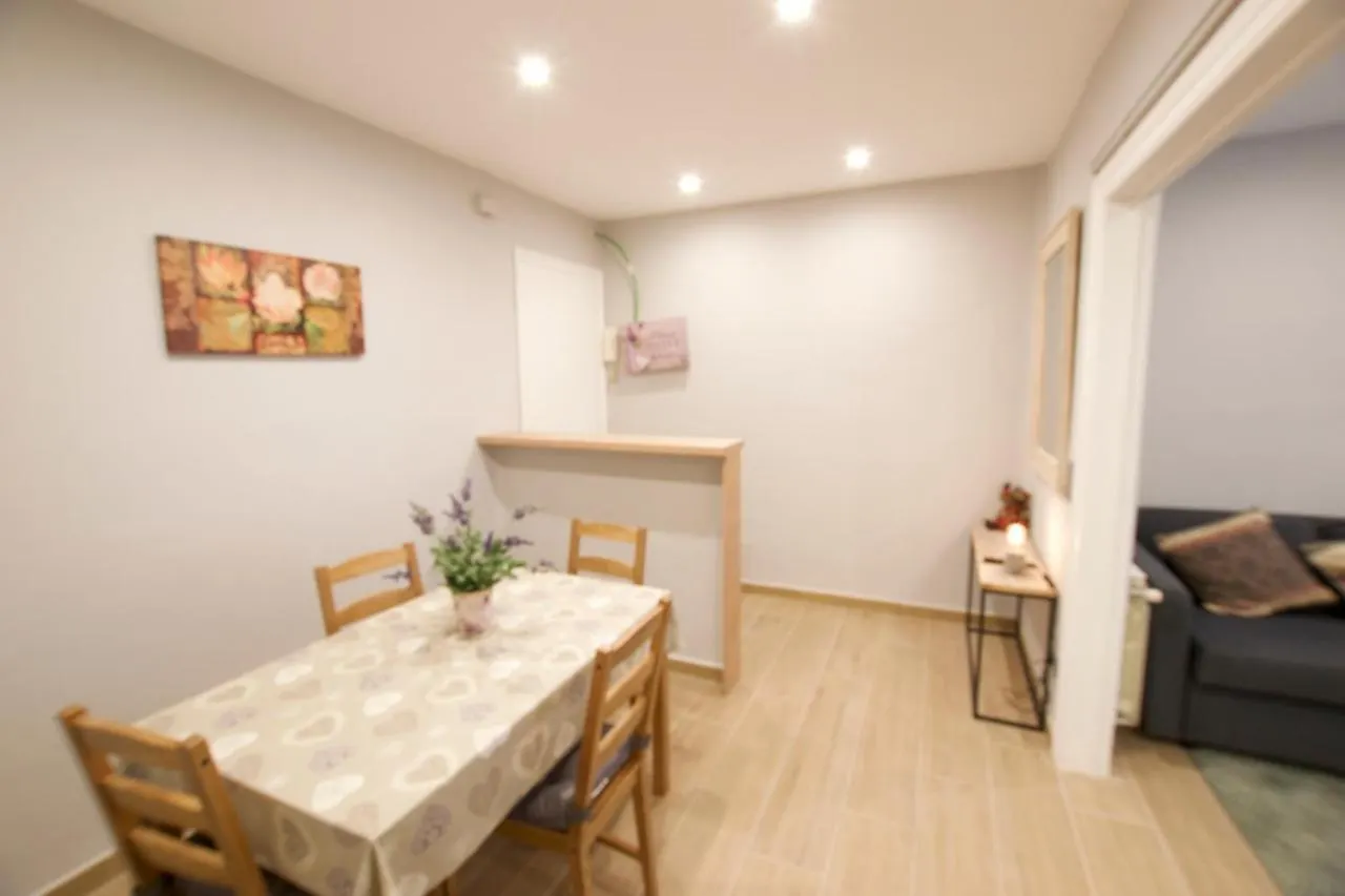 Apartament Alfons I Apartment Puigcerda